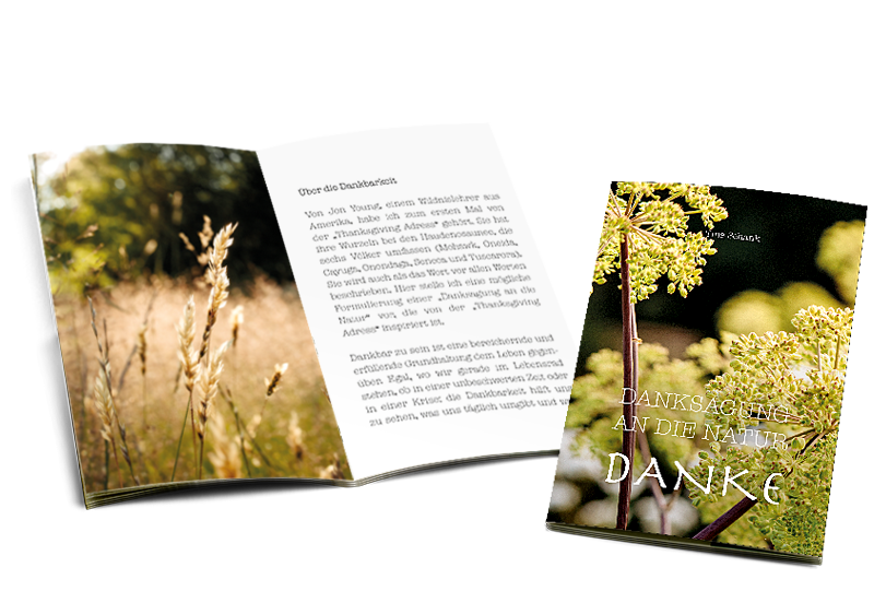 Buch zur Kerze Danksagung an die Natur